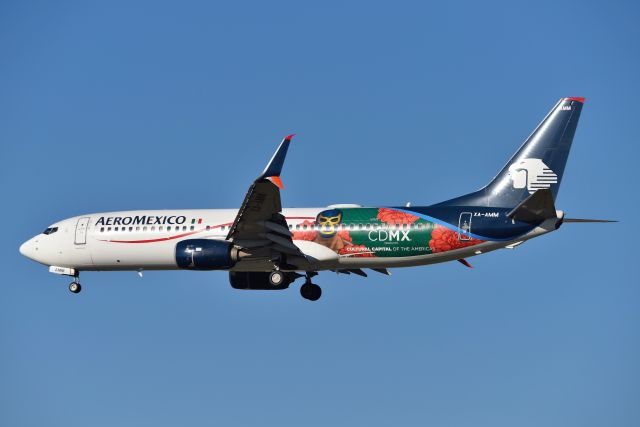 Boeing 737-800 (XA-AMM) - CDMX SPECIAL SCHEME. 12-01-20 28-C