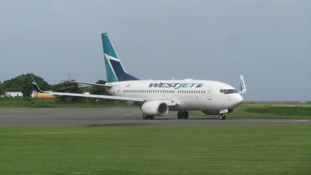 BOEING 737-600 (C-GWSY)