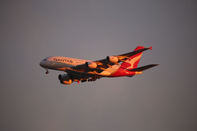 Airbus A380-800 (VH-OQG)