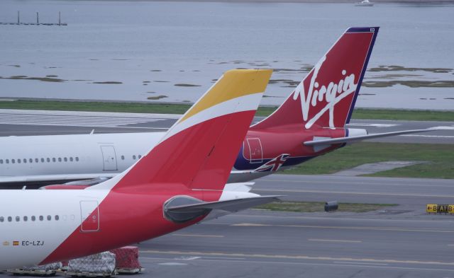 Airbus A330-300 (EC-LZJ)