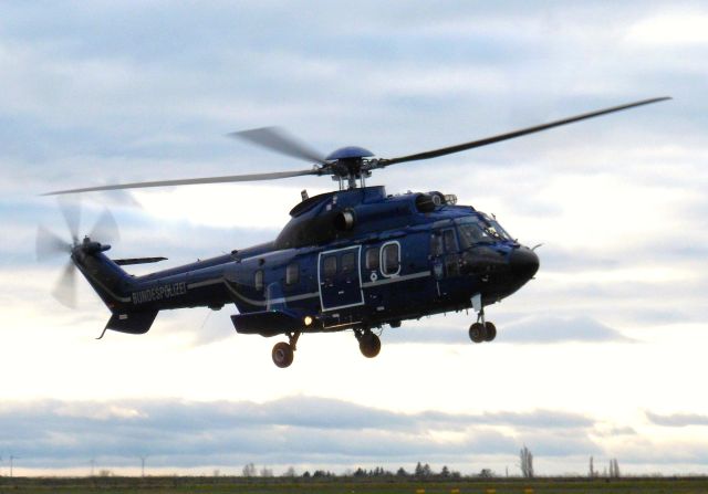 TUSAS Cougar (D-HEGF)