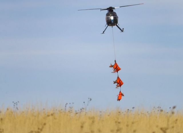 N458HW — - Assisting Utah Department of Wildlife Resources with the relocation of Mule Deer