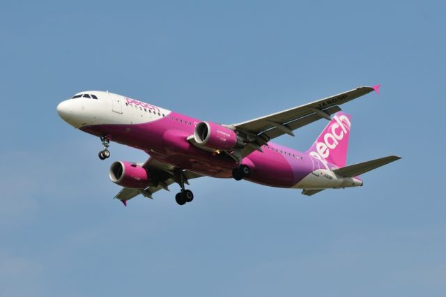Airbus A320 (JA809P) - 2015/6/1