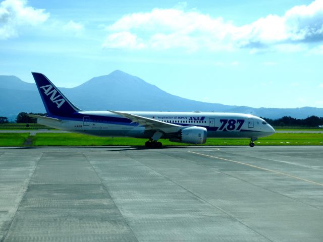 Boeing 787-8 (JA821A)