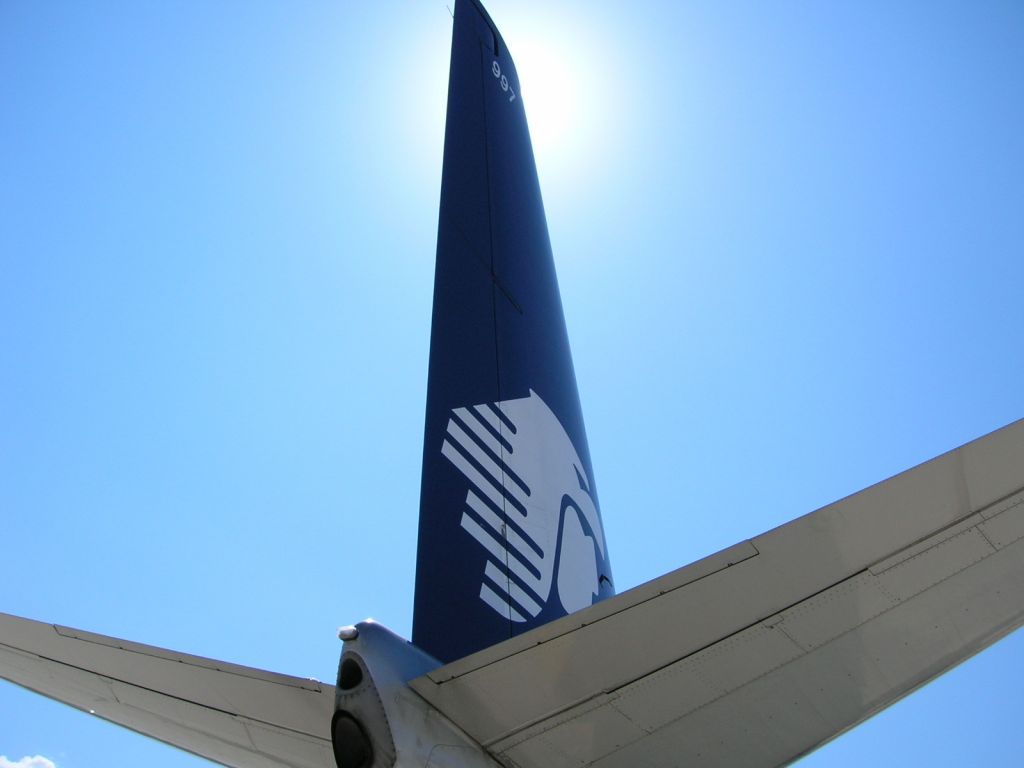 Boeing 737-700 (N997AM) - sun brights full on ramp.during a walkaround
