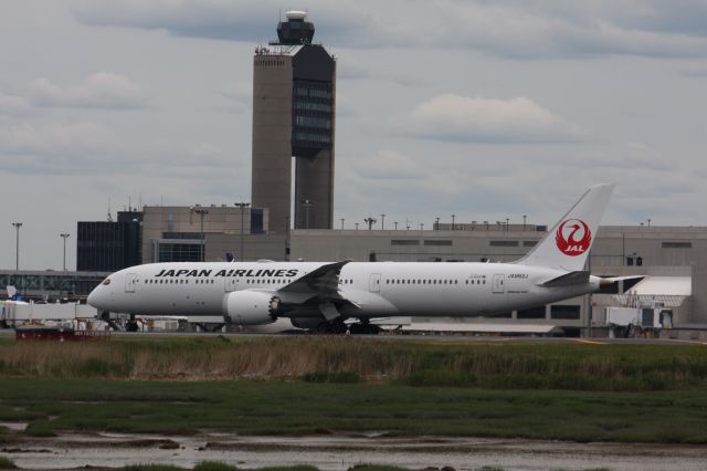 Boeing 787-9 Dreamliner (JA862J)