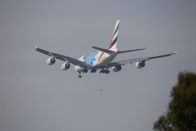 Airbus A380-800 (A6-EOQ)