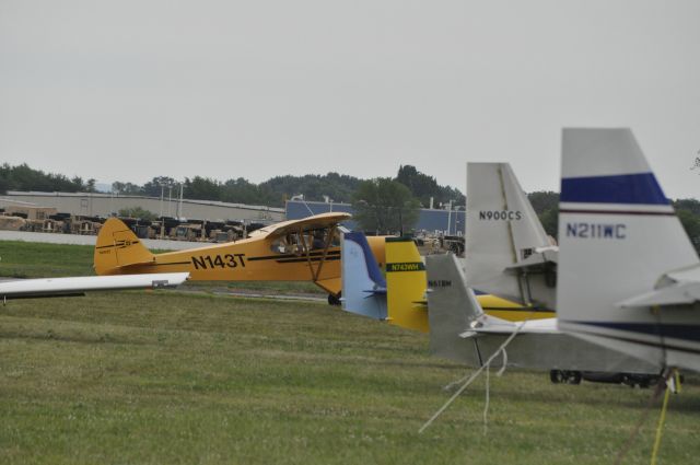 N143T —