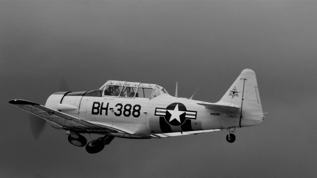 North American T-6 Texan (N49388) - At AirVenture for the North American T-6 80th birthday