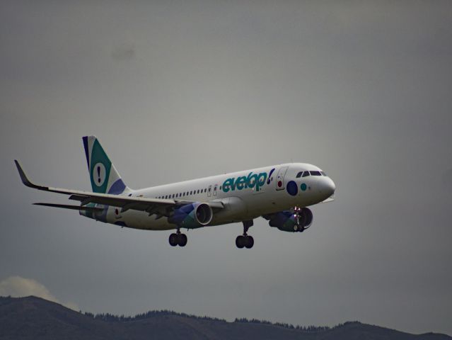 Airbus A320 (EC-LZD) - Aterrizando por la pista 29