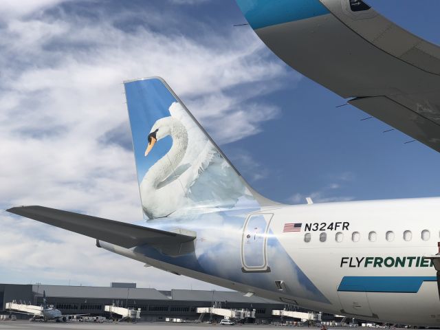 Airbus A321 (N324FR) - Ramp during preflight 