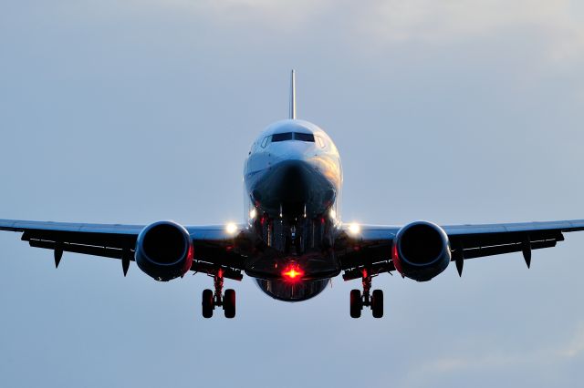 Boeing 737-800 (JA73AN)