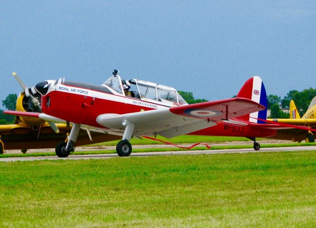 OGMA DHC-1 Chipmunk (N833WP) - At Oshkosh. 1952 De Havilland DHC-1 Chipmunk T.10