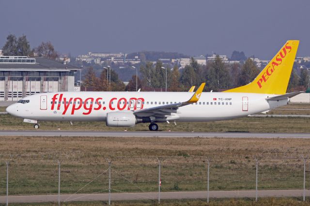 Boeing 737-800 (TC-ANP)