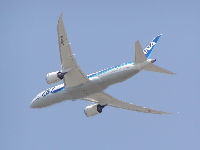 Boeing 787-8 (JA813A)