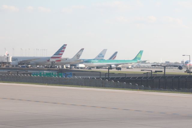 Airbus A330-300 (EI-EAV) - 102513 Aer Lingus on push back from the Intl Terminal. AA and Emirates B777 KLM B747, Air France A330 tails present