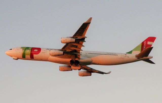 Airbus A340-300 (CS-TOB)