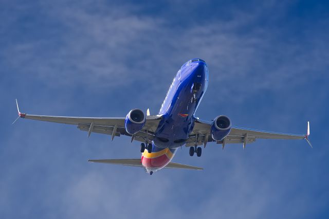 Boeing 737-800 (N8671D) - New aircraft registered on 12/2015