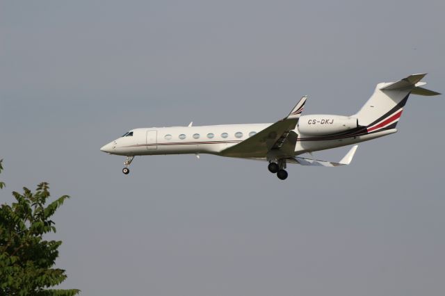 Gulfstream Aerospace Gulfstream V (CS-DKJ)