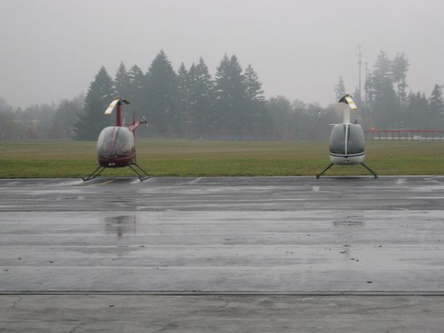 Robinson R-22 (N819TT) - HAI R22 IFR