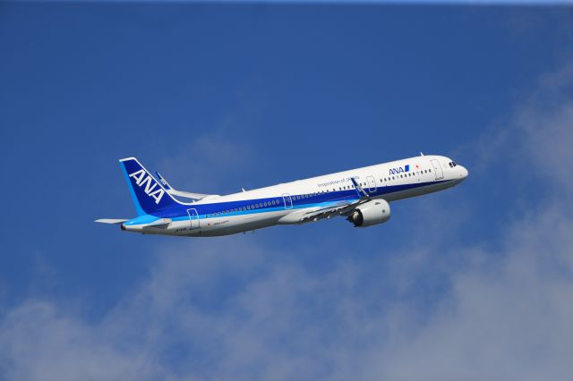 Airbus A321neo (JA144A) - September 28, 2024:HKD-ITM.
