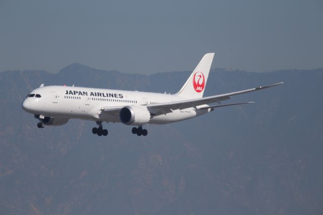 Boeing 787-8 (JA821J)