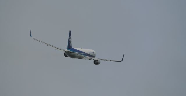 BOEING 767-300 (JA620A)