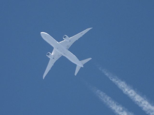 Boeing 787-9 Dreamliner (F-HRBC) - AFR636br /CDG-IAHbr /08/26/22