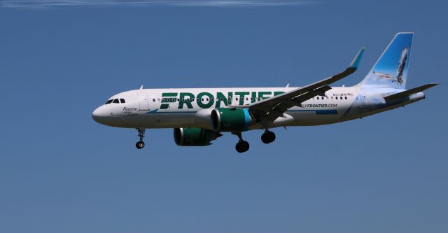 Airbus A320neo (N373FR) - On final is this brand new Frontier Airlines Airbus A320-251N with this wading bird "Francie" the Piping Plover shown on the tail in the Spring of 2021.