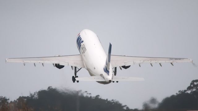 Airbus A330-200 (TC-MCE)