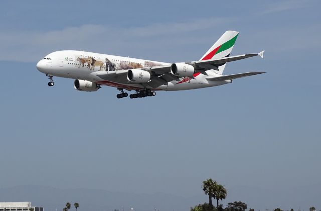 Airbus A380-800 (A6-EOM)