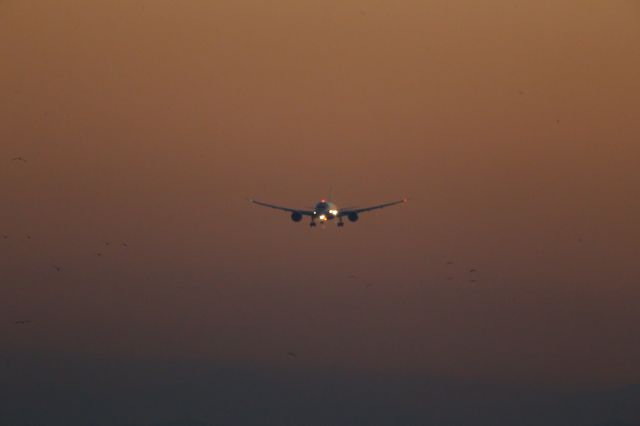 Boeing 787-8 (CC-BBI)