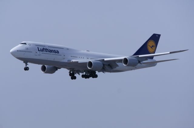 BOEING 747-8 (D-ABYR)