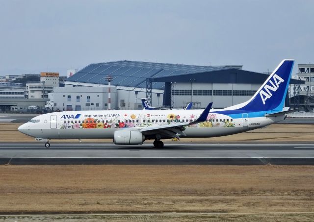 Boeing 737-800 (JA85AN) - Landing at ITM R/W32L (2017/03/14)