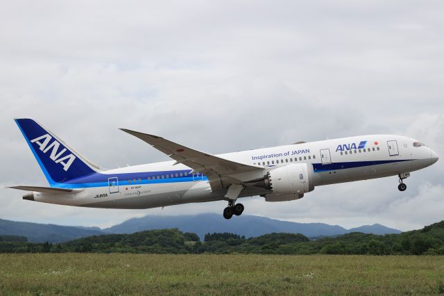 Boeing 787-8 (JA815A) - August 11, 2022:HKD-HND.