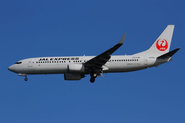 Boeing 737-800 (JA339J)