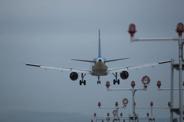 Airbus A320 (JA8947) - 30 June 2015:HND-HKD