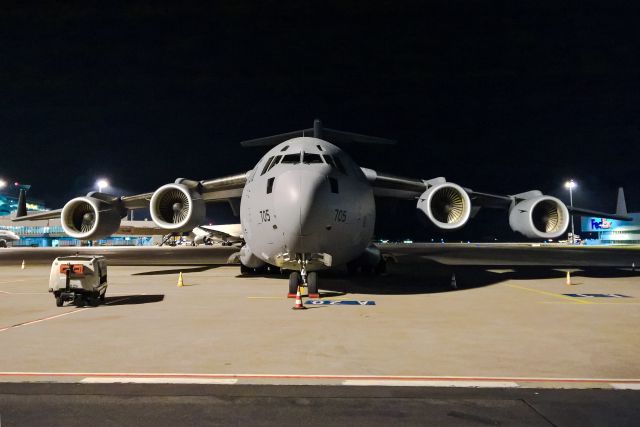 Boeing Globemaster III (CAF177705)