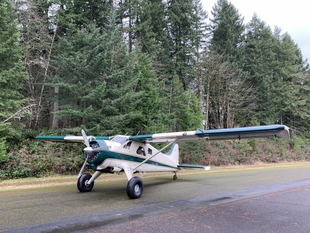 De Havilland Canada DHC-2 Mk1 Beaver (N19ZM) - DeHavilland Beaver on 35" Bushwheels 