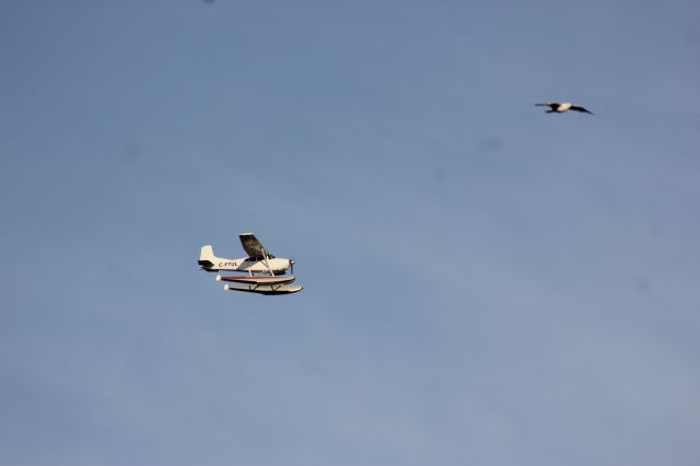 C-FTUL — - C-FTUL Cessna 182 F en vol au dessus du Fleuve St-Laurent à Lavaltrie QC. le 17-06-2020 à 18:13.