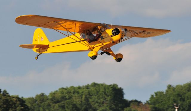 Piper L-21 Super Cub (N1559N)