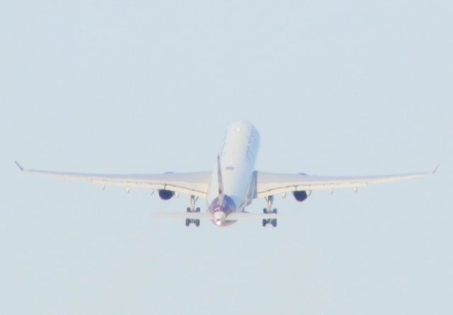 Airbus A330-300 (G-VINE) - Lifting off for London"Heathrow"(EGLL)