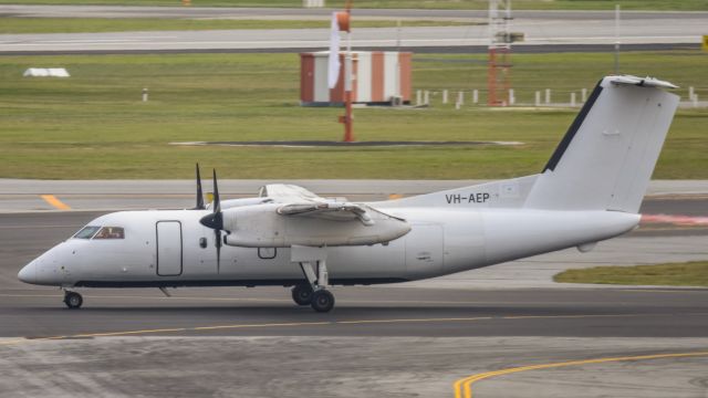 de Havilland Dash 8-100 (VH-AEP) - Maroomba Airlines newest Dash 8 to the fleet. VH-AEP ex. P2-MCI of PNG Air