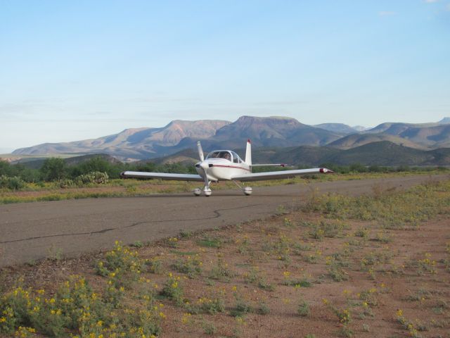 Vans RV-10 (N46007) - N46007 landing Grapevine NFS strip 