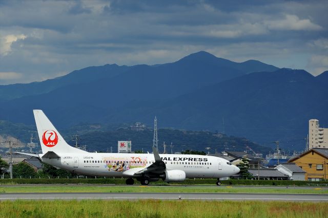 Boeing 737-800 (JA330J)