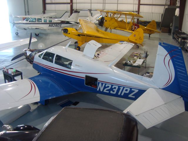 N231PZ —