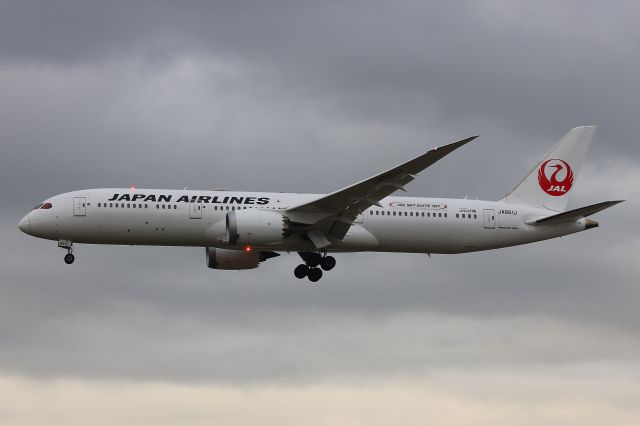 Boeing 787-9 Dreamliner (JA861J) - Frankfurt am Main, Saturday 14/10/16. Photo taken from the mound just next to the motorway bridge just near the Intercity Hotel.