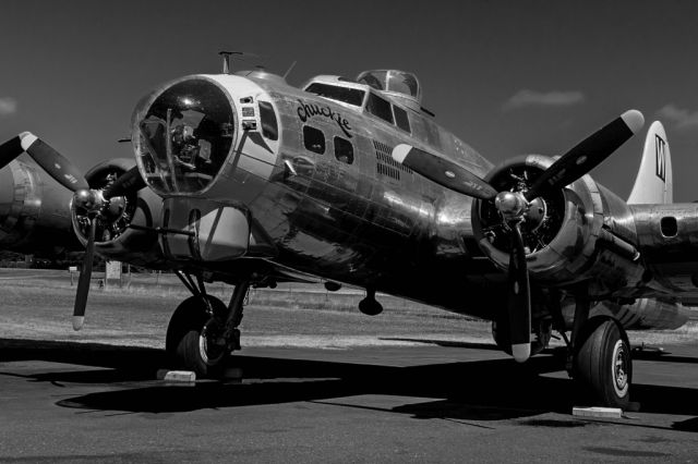 Boeing B-17 Flying Fortress (N3701G) - "chuckie" @ Tillamook Air Museum