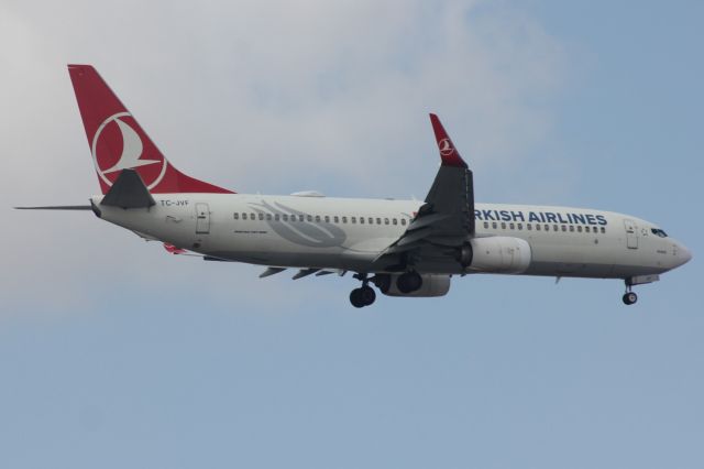 Boeing 737-800 (TC-JVF)