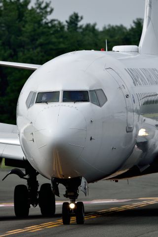 Boeing 737-800 (JA334J)